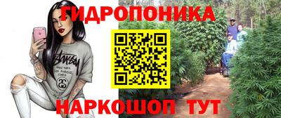 шишки Коммунар