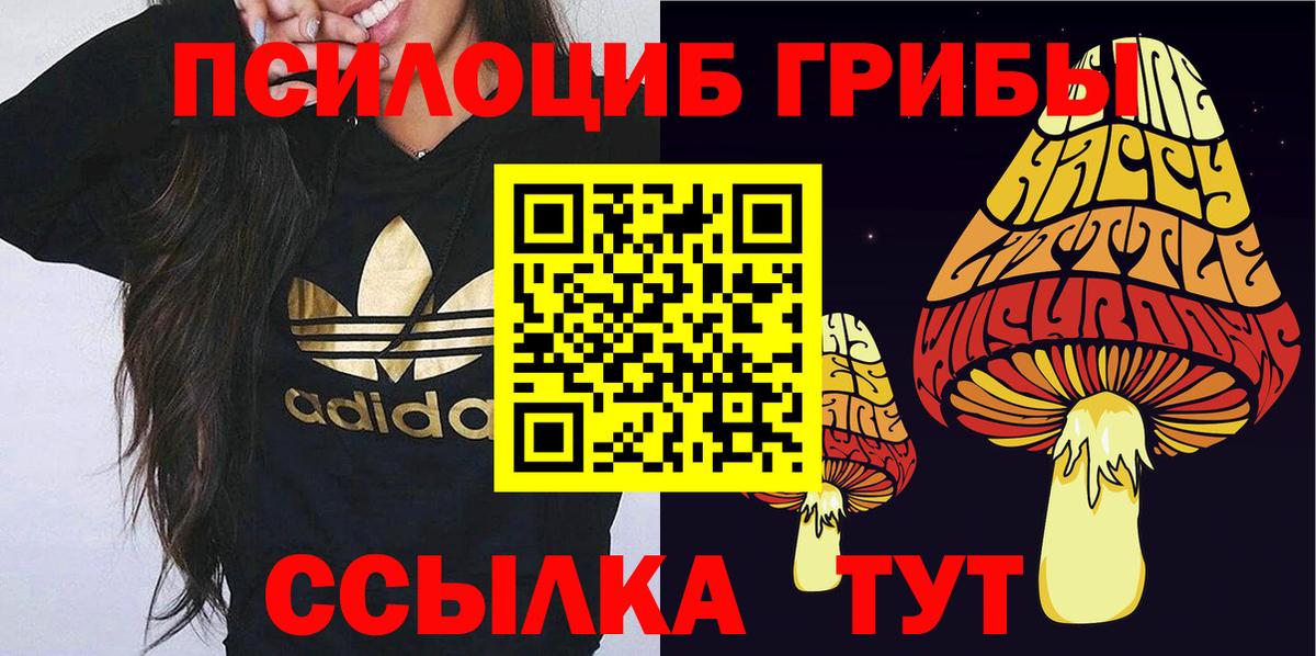Галлюциногенные грибы прущие грибы Костомукша
