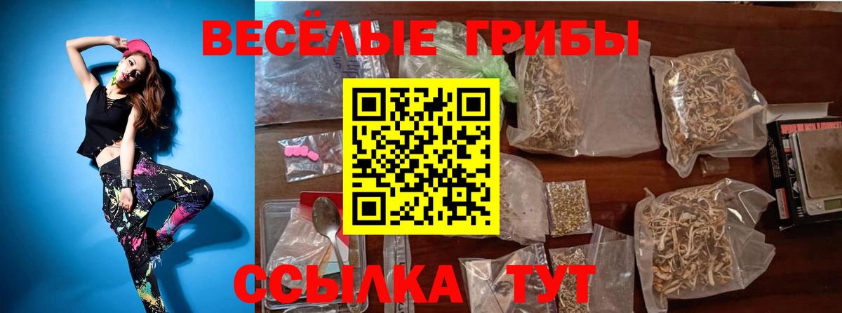 Костомукша  Псилоцибиновые грибы Magic Shrooms  Вход с VPN 